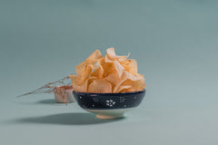 Childhood Snack Tapioca Chips