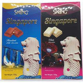 Singapore Souvenir Chocolate