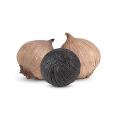 GBT Black Garlic