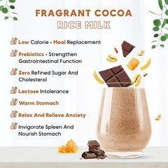 Ricemedy Chocolate Oat Rice Milk (BOX)