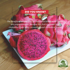 ቫክዩም የደረቀ ዘንዶ ፍሬ