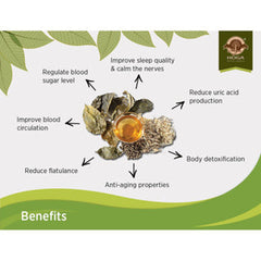 Hoga Agarwood Herbal Tea (Halal)