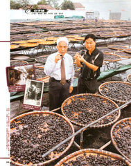 Preserved Ginger Plum