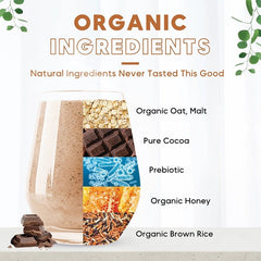 Ricemedy Chocolate Oat Rice Milk (BOX)