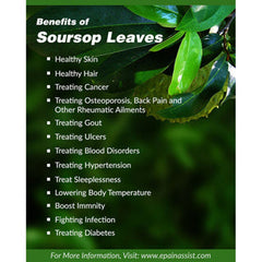 Soo Farm Soursop Leaf Tea