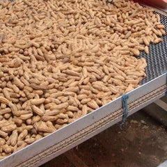 የአሳ አጥማጅ ብራንድ Groundnut (Ipoh Menglembu Groundnut)