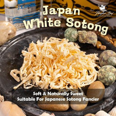 Pangkor Boy White Japan Cuttlefish Slice and Associates Products