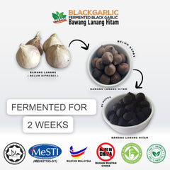 Mesra Herbs Black Garlic Fermented Solo Black Garlic