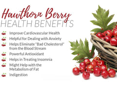 GBT Hawthorn Enzyme Vinegar