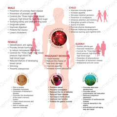 Themegood Pomegranate Multigrain with Beetroot & Organic Soy