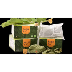 TEATICS Guava Leaf Tea
