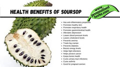Concentrated Soursop Fruit Juice