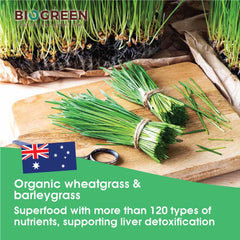 Biogreen Supergreen Soymilk (Organic Wheatgrass and Barleygrass)