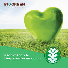 Biogreen Supergreen Soymilk (Organic Wheatgrass and Barleygrass)