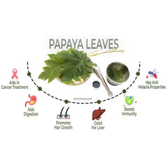 Papaya Leaf Tea
