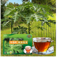 Papaya Leaf Tea
