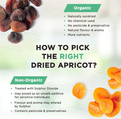 Organic Dried Apricot