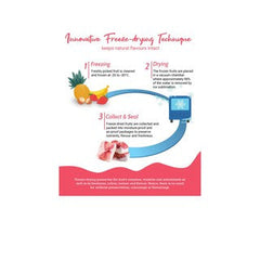 Freeze Dried Jackfruit