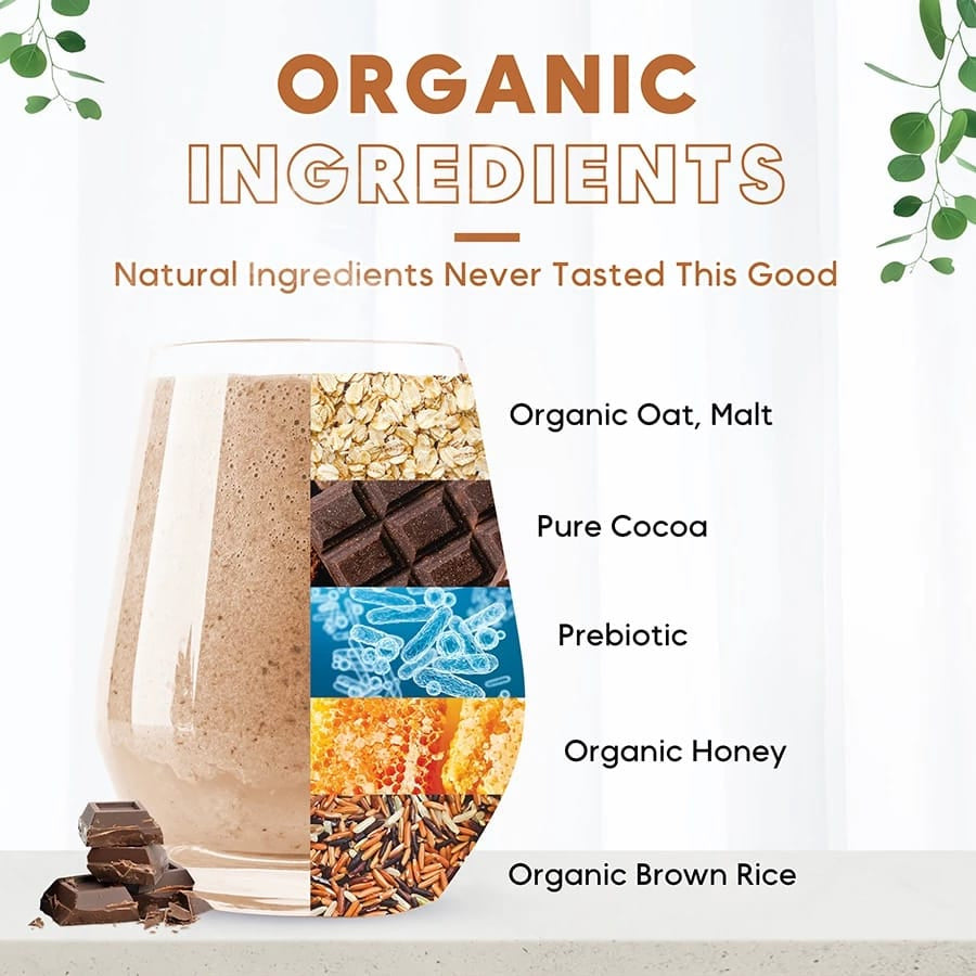 Ricemedy Chocolate Oat Rice Milk (BOX)