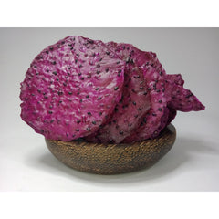 Vacuum Dried Dragon Fruit