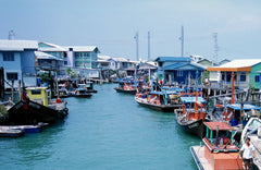 Asam Fish Paste (Ketam Island)