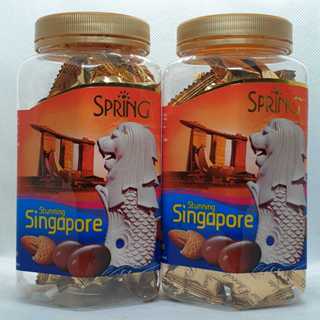 Singapore Merlion Chocolate
