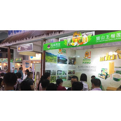 Freeze Dried Musang King Durian With Longan 50g