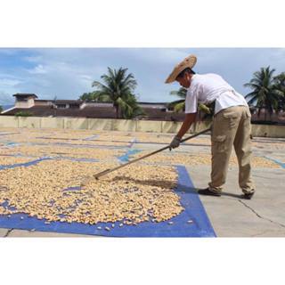 Sin Weng Fai/Fu Weng Soon Peanut Candy/Menglembu Peanut