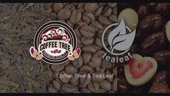 Penang Coffee Tree Yuan Yang  (Penang Cham Coffee & Tea)
