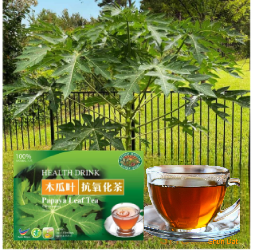 Papaya Leaf Tea